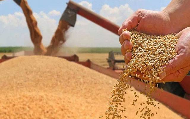 گندم خریداری کا ای پروکیورمنٹ سسٹم فیل، پنجاب حکومت کا بڑا فیصلہ