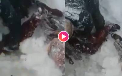 Video of a girl buried in the snow