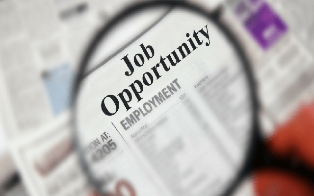  پڑھے لکھے بے روزگار نوجوانوں کیلئے شاندار خوشخبری آگئی