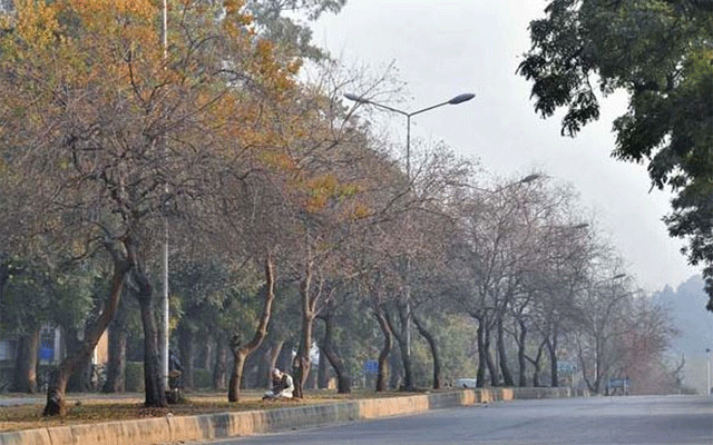آئندہ 24 گھنٹوں کے دوران شہر کا موسم خشک رہے گا: محکمہ موسمیات