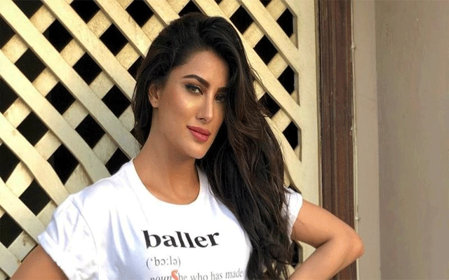 مہوش حیات کا بھائی کے ساتھ”اوہ نانانا چیلنج“ 