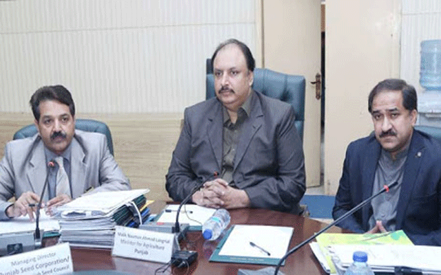 وزیر زراعت کی ڈپٹی کمشنرز کو گندم کی ترسیل کے دوران عملے سے تعاون کرنے کی ہدایات