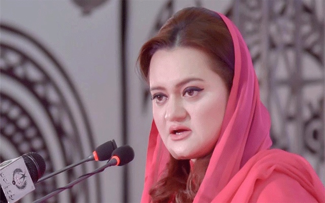 مریم اورنگزیب کا شہبازشریف کی پیشی پر نیب کا بیان مسترد 