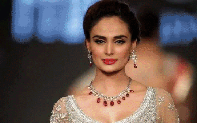 حالات معمول پر آتے ہی شوبز سرگرمیاں بھی معمول پر آجائیں گی، مہرین سید