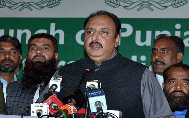 ٹڈی دل نے پنجاب کی فصلوں کوبہت زیادہ نقصان نہیں پہنچایا، وزیر زراعت