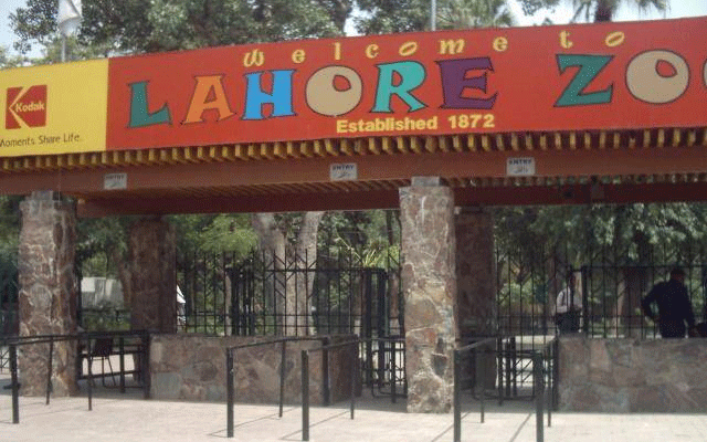 عید کا دوسرا روز، بچہ پارٹی نے چڑیا گھر کا رخ کرلیا