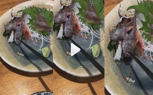 کھانے کیلئے پیش کی گئی مچھلی پلیٹ میں اچانک زندہ ہوگئی، ویڈیو وائرل 