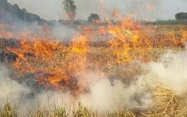 ایک سگریٹ نے تباہی مچا دی، ہر طرف دھواں ہی دھواں