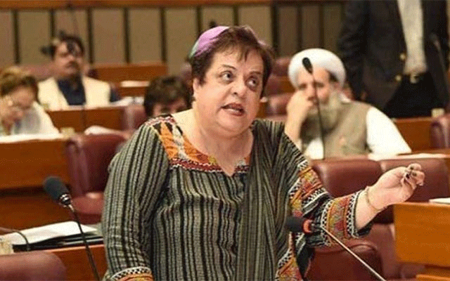 Shireen Mazari
