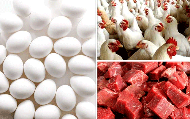 Chicken Meat Today rates