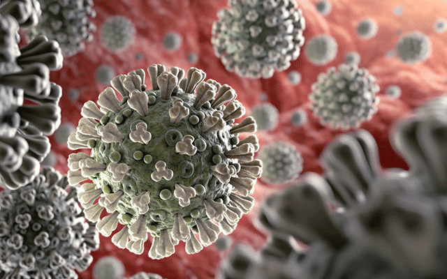 Coronavirus 