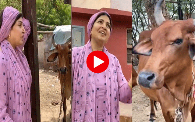 Shugufta Ejaz viral video
