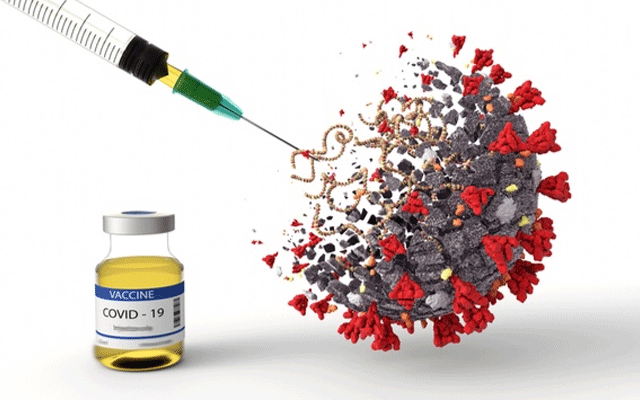 Universal covid 19 vaccine