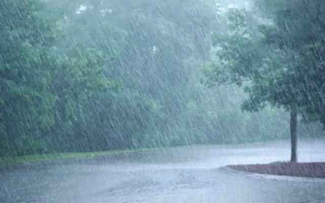 Rain