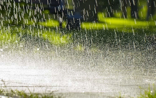 Rain