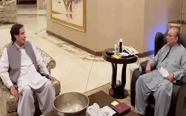 Asif Zardari Pervaiz Elahi