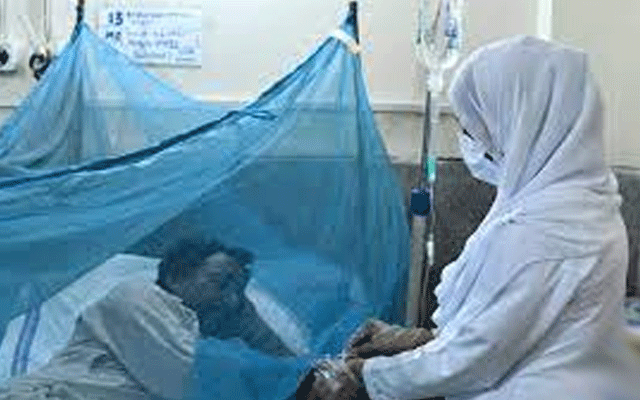 ڈینگی، ہسپتال،مریض، علاج،لاروا،سٹی 42