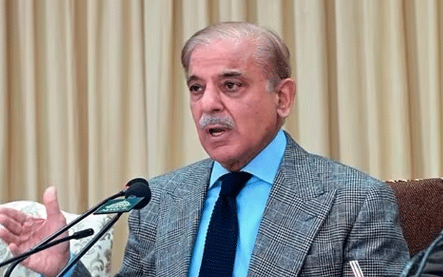 ’آڈیو لیکس نے نواز شریف کیخلاف سازش کرنیوالے تمام کرداروں کو بے نقاب کردیا‘