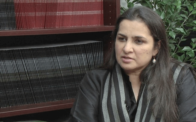 Nasim Zahra, PDM Sit In at Supreme Court, Nasim Zahra@ 8, Islamabad, PTI, Imran Khan, Judges, City42 