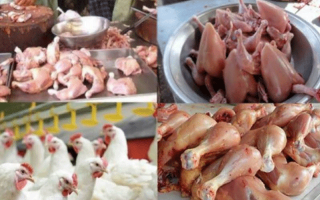 the chicken meat price hike, City42 
