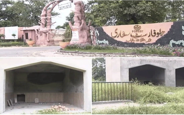 Jallo Park animal enclosures, City42 