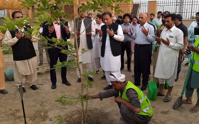 Mohammad Ali Randhawa message on World Environment Day, City42 