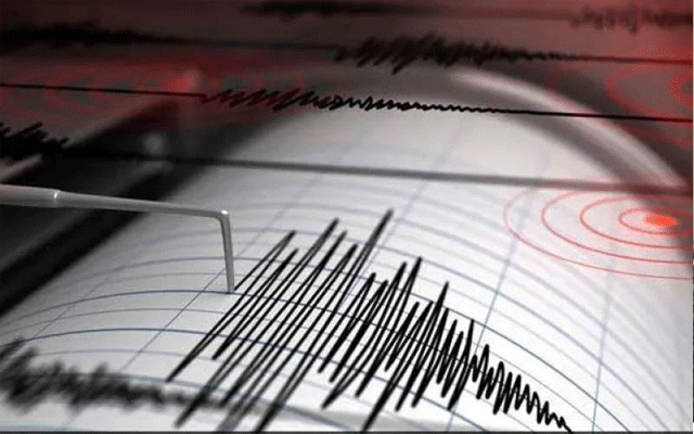Earthquake near New Zeeland, City42