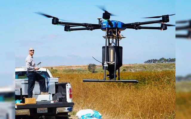 in Southern California Drown used for terminating mosquito, City42