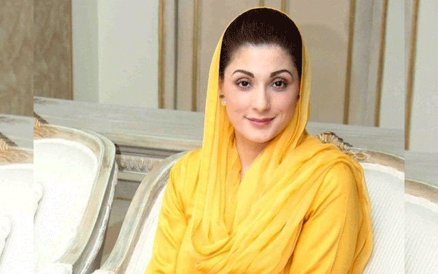 PMLN devises strategy on Election Campaign, City42