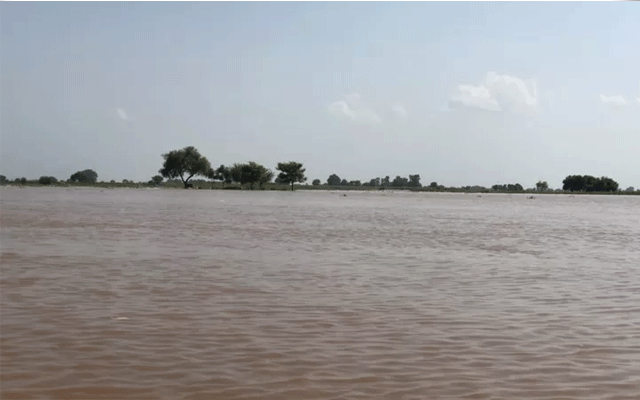 Satluj River level falls slightly, PDMA, City42