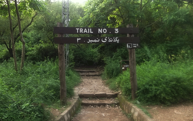Islamabad Police trail three rape case investigation, City42