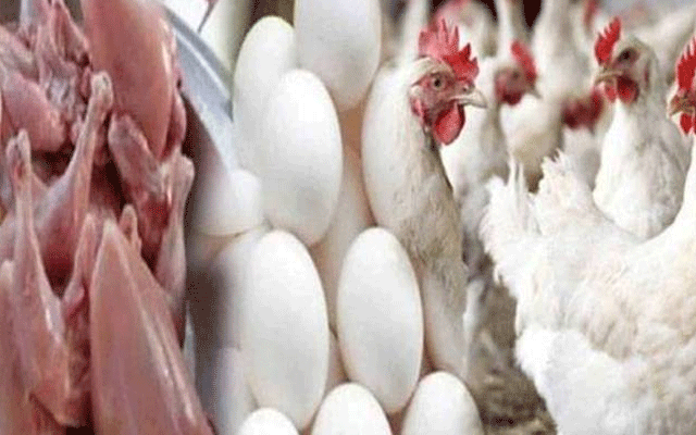 برائلر مرغی کے گوشت کی قیمتوں میں اتار چڑھاؤ  کا سلسلہ جاری ہے, لاہور میں برائلر مرغی کے گوشت کی قیمت میں مزید  15روپے سستا ہو گیا ہے۔