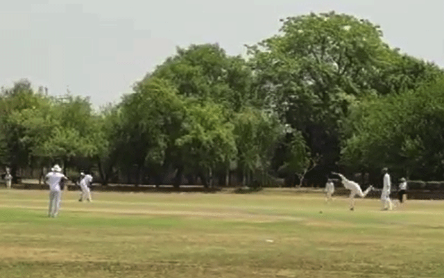 لاہور ، پنجاب ، سٹی42 Punjab University, Cricket Match, PU ground, City42 