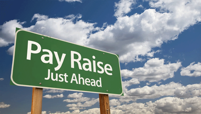Pay rise announced, Pakistan's federal budget, City42, Finance Minister Aorangzaib, Budget speech, city42, 25 % rise in pays, Pakistan economy 