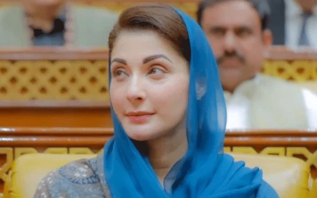 Maryam nawaz, City42, Focal Persons for Chief Minister's Social Media, Honorary job, Notification 