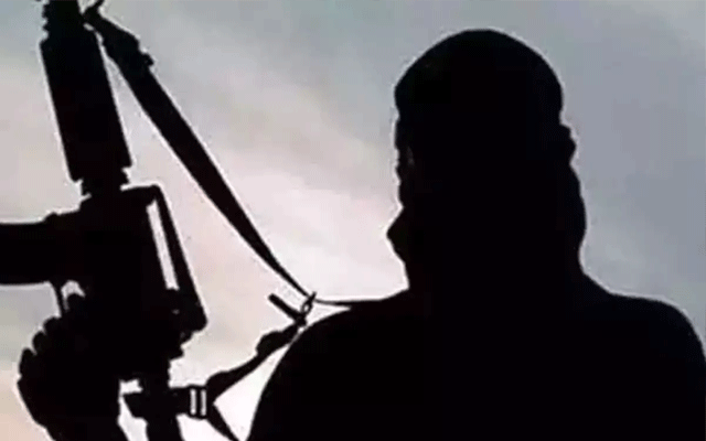 terrorist killed, Afghanistan, Kunnar province, City42, Tehrik e Taliban Pakistan 