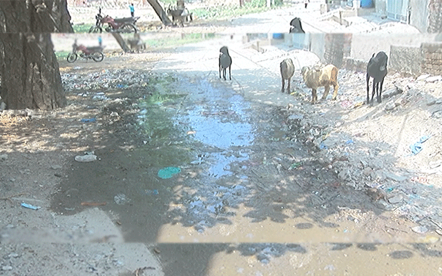 Lahore Mazang Wafaqi Colony, City42, WASA, Sewage system collapsed, 