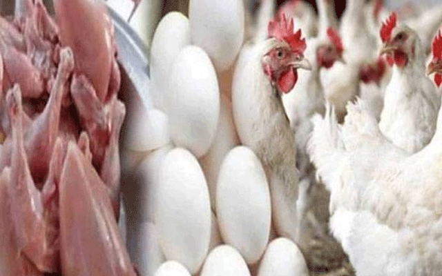  برائلر مرغی کے گوشت کی قیمتوں میں اتار چڑھاؤ  کا سلسلہ جاری ہے، لاہور میں برائلر مرغی کے گوشت کی قیمت میں13روپے فی کلو کمی ریکارڈ کی گئی ہے۔