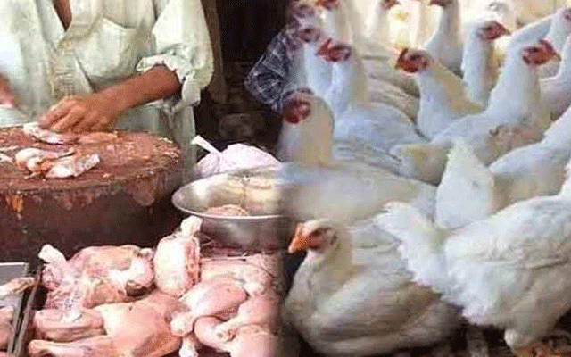 برائلر مرغی کے گوشت کی قیمتوں میں اتار چڑھاؤ  کا سلسلہ جاری ہے،  لاہور میں برائلر مرغی کا گوشت2  روپے سستا ہو گیا ہے۔ 