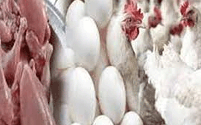  برائلرمرغی کےگوشت کی قیمت میں مزید اضافہ