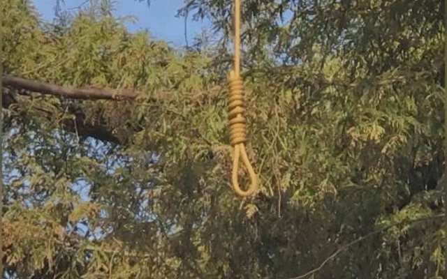 ناصر باغ سے نامعلوم خاتون کی درخت سے لٹکی ہوئی لاش برآمد