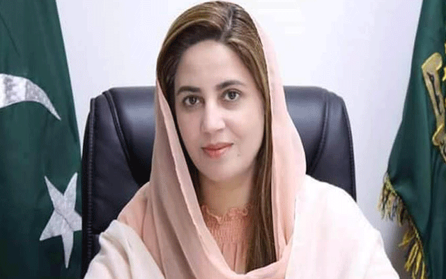 پی ٹی آئی رہنما زرتاج گل عدالت میں پیش، وارنٹ گرفتاری منسوخ