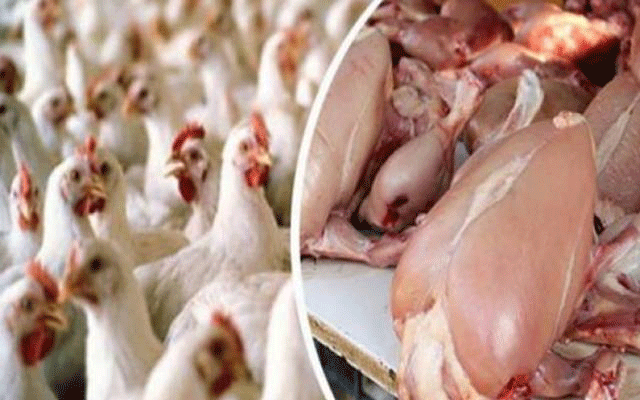 مرغی کا گوشت فی کلو کتنے روپے کا ہوگیا؟