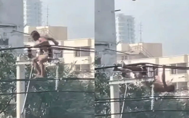 بجلی کے تاروں پر ’پل اپس‘ لگانے والے شخص نے سب کو حیران کردیا