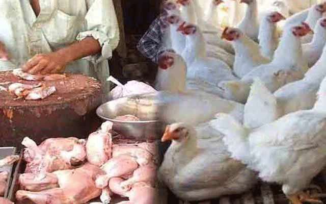 برائلر مرغی کی قیمتوں کو پر لگ گئے چکن مزید مہنگا ہوگیا