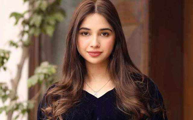 سبینا فاروق کا بڑی گاڑیوں کے مالکان کے لیے اہم مشورہ