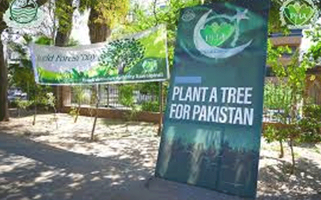 پاکستان ہارٹیکلچر اتھارٹی کا ٹری ٹرانسپلانٹرز کی منتقلی پر بھاری فیسیں وصول کرنے کا فیصلہ