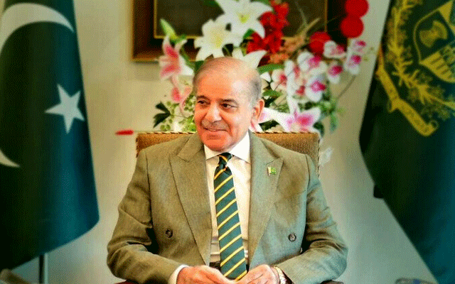 پاکستان معدنی وسائل کے استعمال سے آئی ایم ایف کو خیرباد کہہ سکتا ہے: وزیراعظم