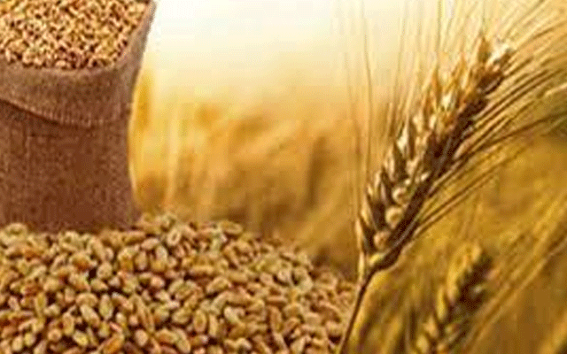 پنجاب حکومت کاکاشتکاروں کو گندم کی نقل و حمل کی اجازت دینے کا اعلان