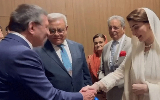 مریم نوازکی نائب صدر ترکیہ سے ملاقات، معاشی شراکت داری کے فروغ پر اتفاق